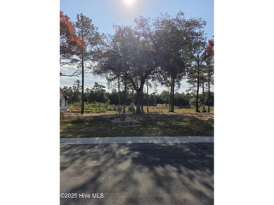 Beach Lot Active Under Contract in Sunset Beach, North Carolina