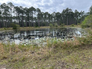 Beach Lot For Sale in Panama City Beach, Florida