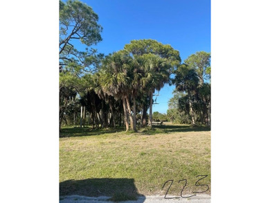 Lot For Sale in Rotonda West image photo picture