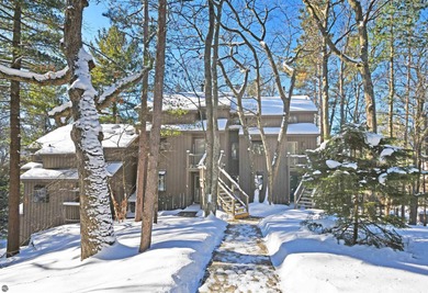 Beach Condo For Sale in Glen Arbor, Michigan