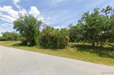 Beach Lot For Sale in Port Charlotte, Florida
