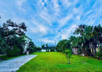 Beach Lot For Sale in Venice, Florida