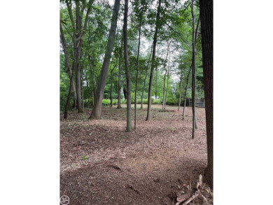 Beach Lot For Sale in Fort Gratiot, Michigan