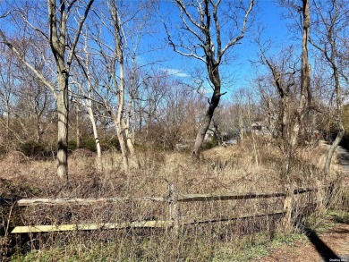 Beach Lot For Sale in Riverhead, New York