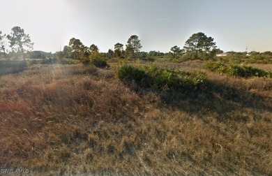 Beach Lot For Sale in Lehigh Acres, Florida