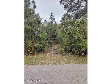 Beach Lot For Sale in Edenton, North Carolina