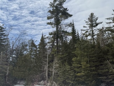 Beach Lot For Sale in Cheboygan, Michigan
