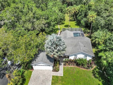 Beach Home For Sale in Riverview, Florida