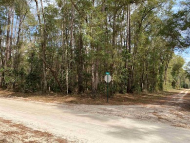 Beach Lot Off Market in Crawfordville, Florida