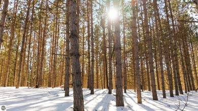 Beach Acreage For Sale in Williamsburg, Michigan