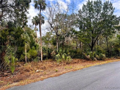 Beach Lot For Sale in Homosassa, Florida