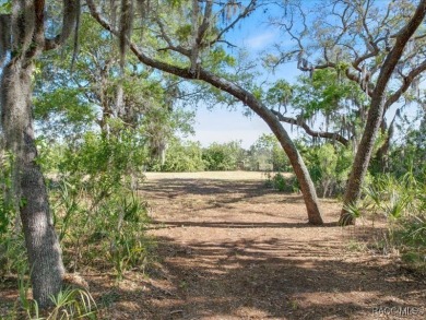 Beach Lot For Sale in Crystal River, Florida