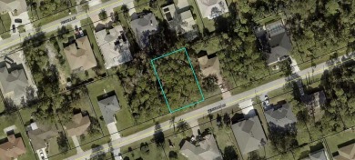 Beach Lot Sale Pending in Palm Coast, Florida