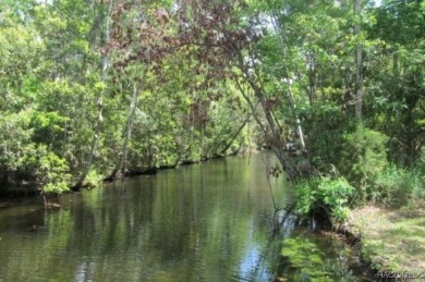 Beach Lot For Sale in Homosassa, Florida