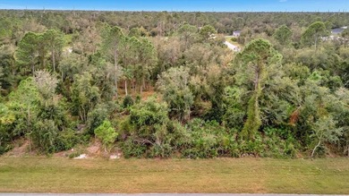 Beach Lot For Sale in Port Charlotte, Florida