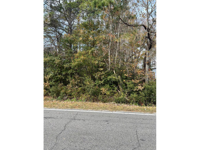 Beach Lot For Sale in Shallotte, North Carolina