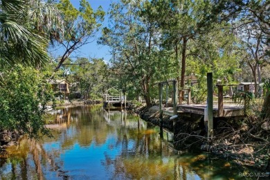 Beach Home Sale Pending in Homosassa, Florida