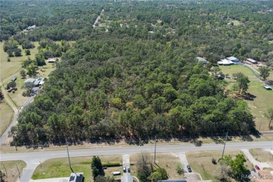 Beach Acreage For Sale in Homosassa, Florida