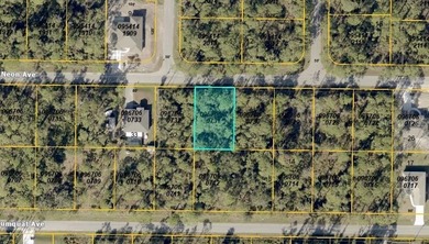 Beach Lot For Sale in North Port, Florida