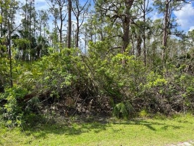 Beach Lot For Sale in Punta Gorda, Florida