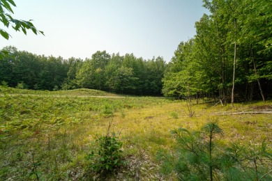 Gorgeous acreage! 5.06 acres of prime Onekama property just off - Beach Acreage for sale in Manistee, Michigan on Beachhouse.com