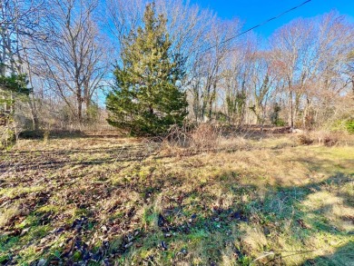 Beach Lot For Sale in Oak Bluffs, Massachusetts