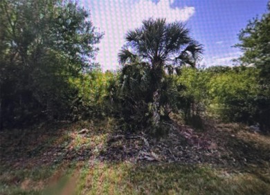 Beach Lot For Sale in Punta Gorda, Florida