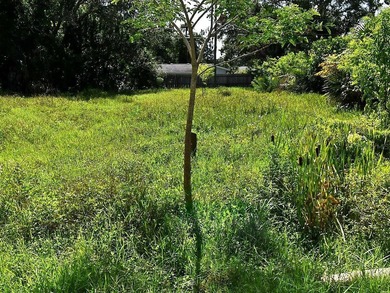 Beach Lot For Sale in Nokomis, Florida