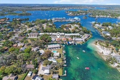 Beach Condo Sale Pending in Crystal River, Florida
