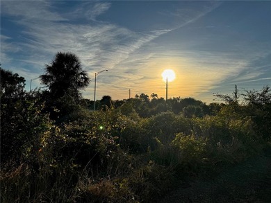 Beach Lot For Sale in Englewood, Florida