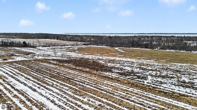 Beach Acreage For Sale in Kewadin, Michigan