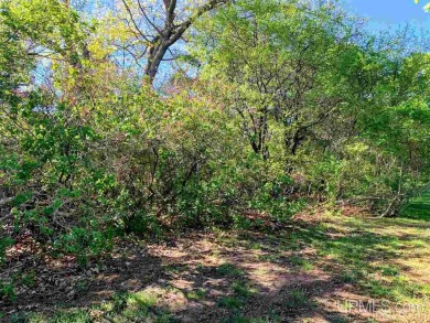 Beach Lot For Sale in Gladstone, Michigan