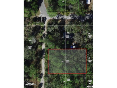 Beach Lot For Sale in Crystal River, Florida