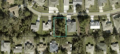 Beach Lot Sale Pending in Palm Coast, Florida