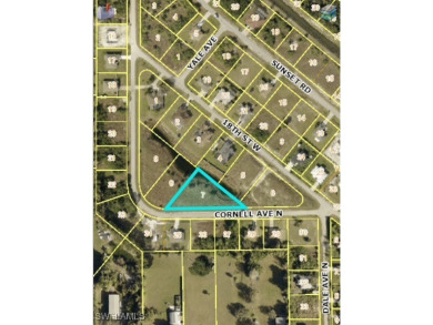 Beach Lot For Sale in Lehigh Acres, Florida