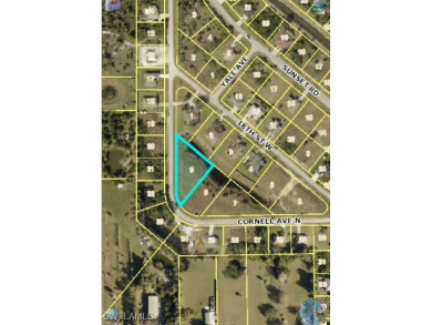 Beach Lot For Sale in Lehigh Acres, Florida