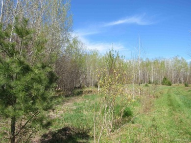 Beach Acreage For Sale in Lake Linden, Michigan