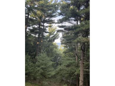 Beach Lot For Sale in Shelby, Michigan