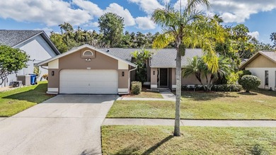 Beach Home Sale Pending in Tampa, Florida