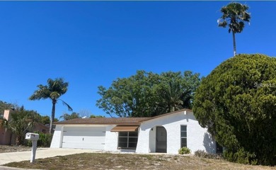 Beach Home Sale Pending in Port Richey, Florida