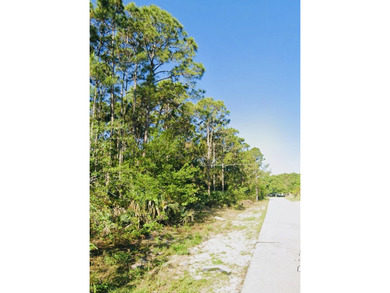 Beach Lot For Sale in Palm Bay, Florida