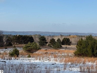 Beach Acreage For Sale in Alden, Michigan