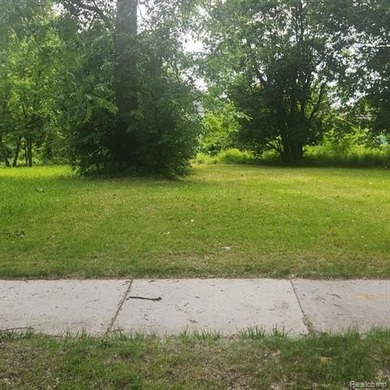 Beach Lot For Sale in Detroit, Michigan