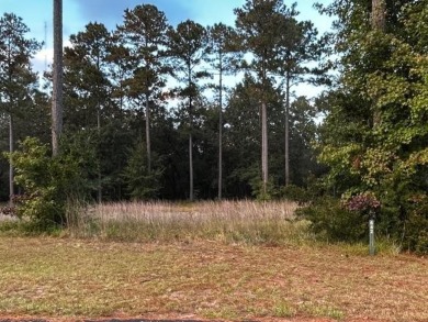 Beach Lot For Sale in Townsend, Georgia