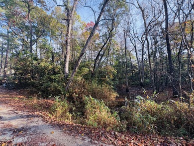 Beach Lot For Sale in Shallotte, North Carolina