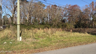 Beach Lot For Sale in Belhaven, North Carolina