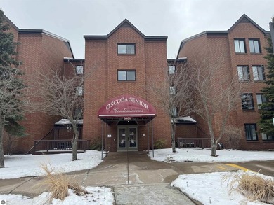 Beach Condo For Sale in Oscoda, Michigan