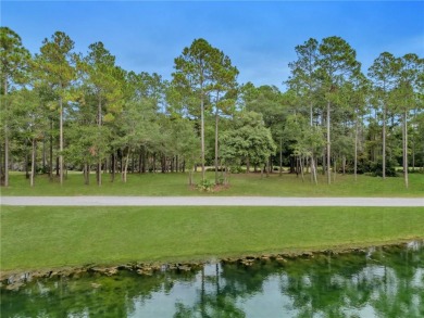 Beach Lot For Sale in Townsend, Georgia