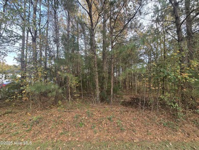 Beach Lot Active Under Contract in Supply, North Carolina