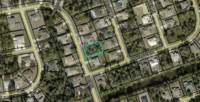 Beach Lot For Sale in Palm Coast, Florida